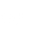 Oasport logo