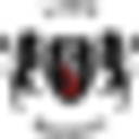 ochronavip.pl icon