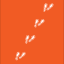 Ocotillo Foundation Inc logo