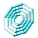 Octagon Bkg Lifts logo