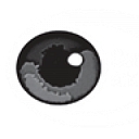 Center For Ophthalmology logo