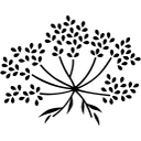 Odacité logo