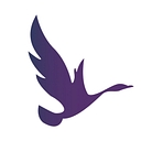 OdinSchool logo