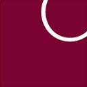 Odis Consultants GmbH logo