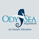 ODYSEA AQUARIUM LLC