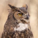 Ogden Nature Center logo