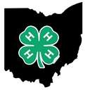Ohio 4 H Youth Development logo