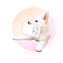 Ohsokawaiidesigns