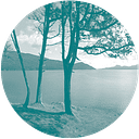 ORCAS ISLAND COMMUNITY FOUNDATION logo