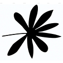 Oi Soi Oi logo