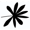 Favicon of Oi Soi Oi