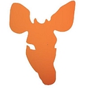 Okapi Partners Llc logo