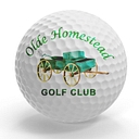 Olde Homestead Golf Club Inc logo