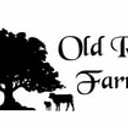 Optical Illusion logo