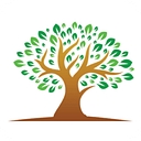 Favicon of Olive Tree Growth Partners