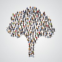Olive Tree search
