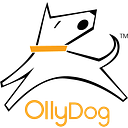 Ollydog