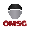 Favicon of Officine Meccaniche San Giorgio S.p.A.