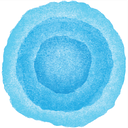 The Onda Foundation Inc logo