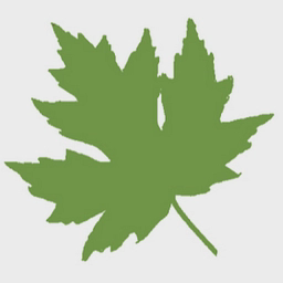 avatar logo
