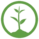 Favicon of One Tree Planted