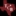 The Community Bank (Bridgeport, Tx) logo