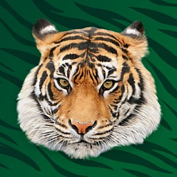 ONONDAGA SENIOR HIGH SCHOOL logo