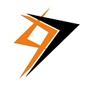 Favicon of Onward Physical Therapy