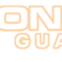 Onyx Guard Services Inc. logo