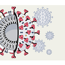 Opencovidscreen Foundation logo