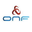 Open Networking Foundation logo