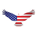 Operation Warrior Shield logo
