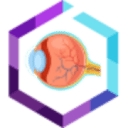 ophthalmic-drug-delivery.com icon
