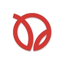 Optiwisdom logo
