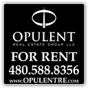 Opulent Real Estate Group Llc logo