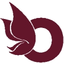 Orane International logo