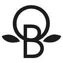 Orange Blossom Special Events, Llc logo