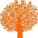 Orange Brands Management logo