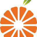 Orange City Council