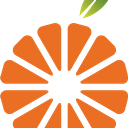 Orange City Council logo