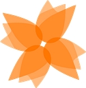 City Of Orange City logo