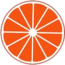 orangedigitalmarketing.in logo