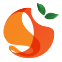 Orange Financial Services Limited logo