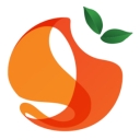 Orange Financial Services Limited logo