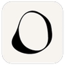 Favicon of Orca Accounting