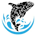 Orca AI