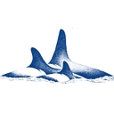 Orcas Project Controls logo