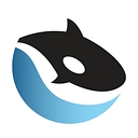 Orcawise logo