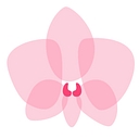 Orchideen Klusmann logo