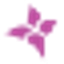 Orchid Transport Services Limited logo